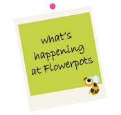 what's new at Flowerpots